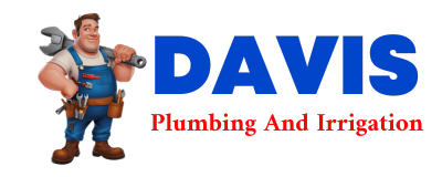 Trusted plumber in DENNARD